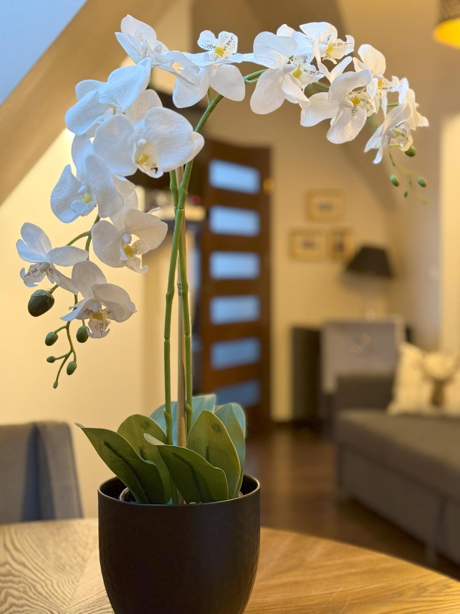 Apartament Glamour I Закопане Екстер'єр фото